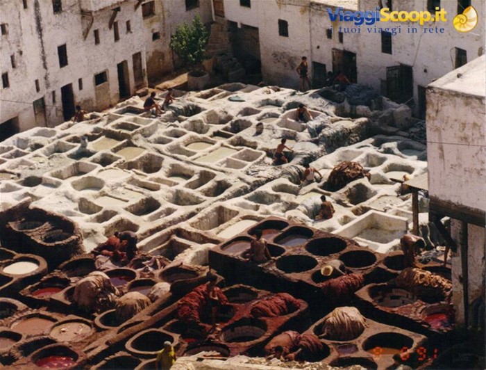 Fes, la zona dei tintori