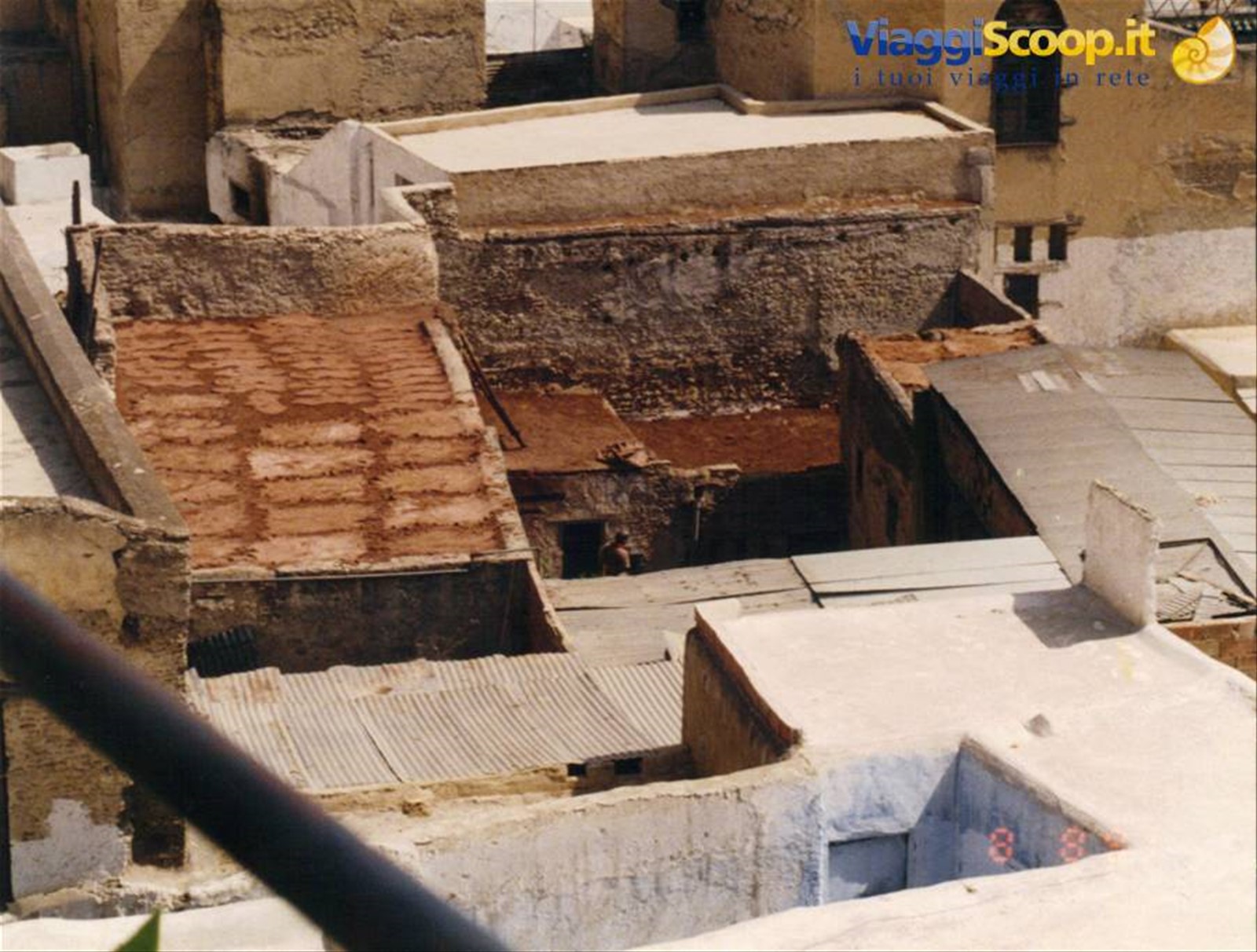 Fes, la zona dei tintori