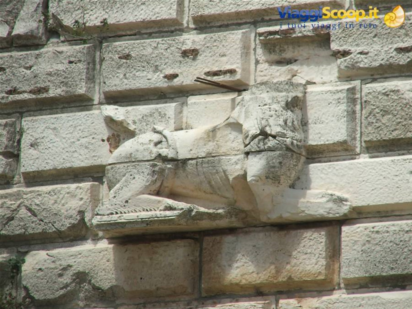 Crac dei Cavalieri