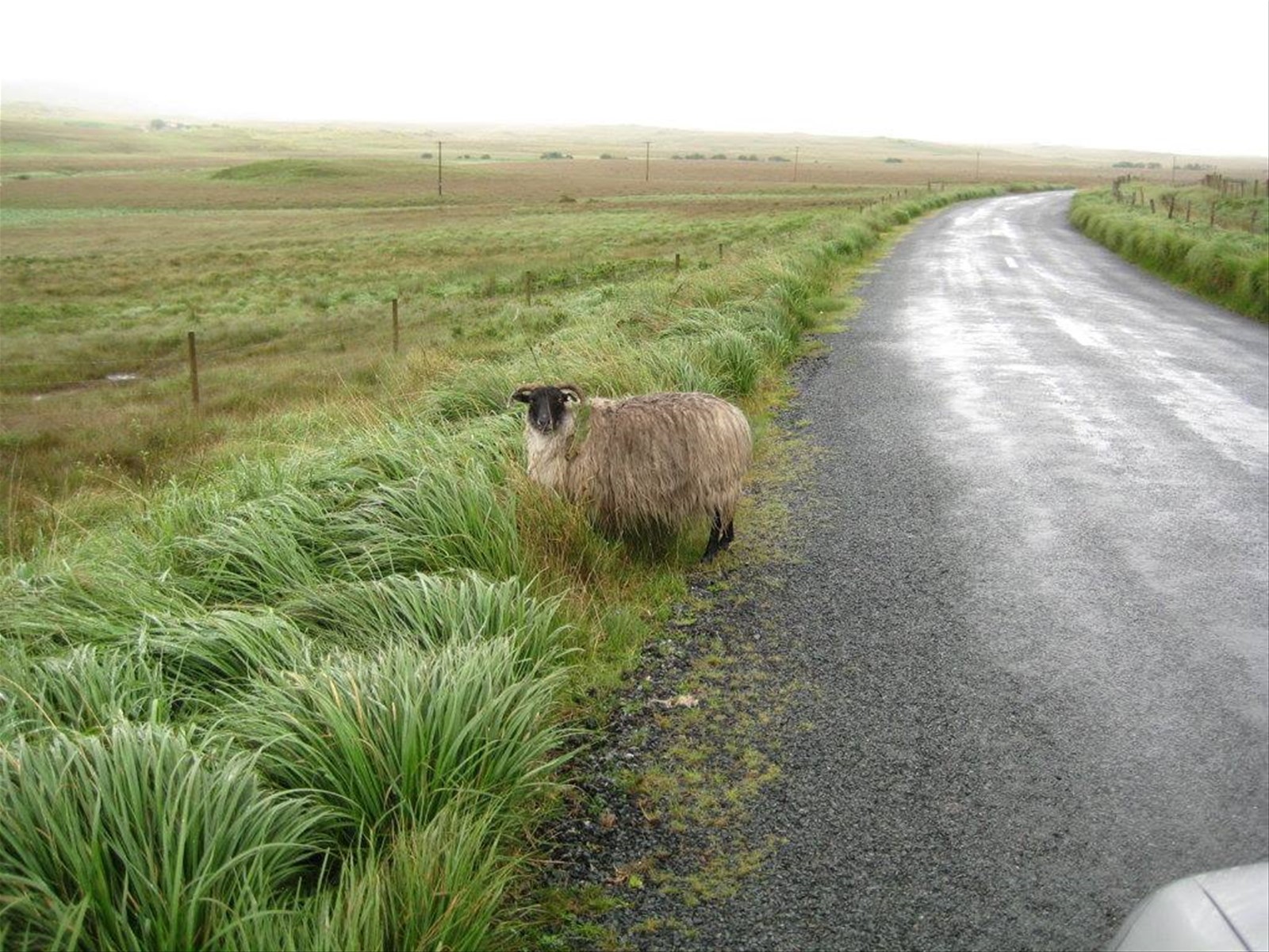 Connemara