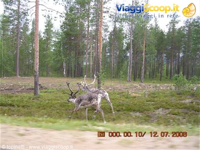 Finnmark finlandese