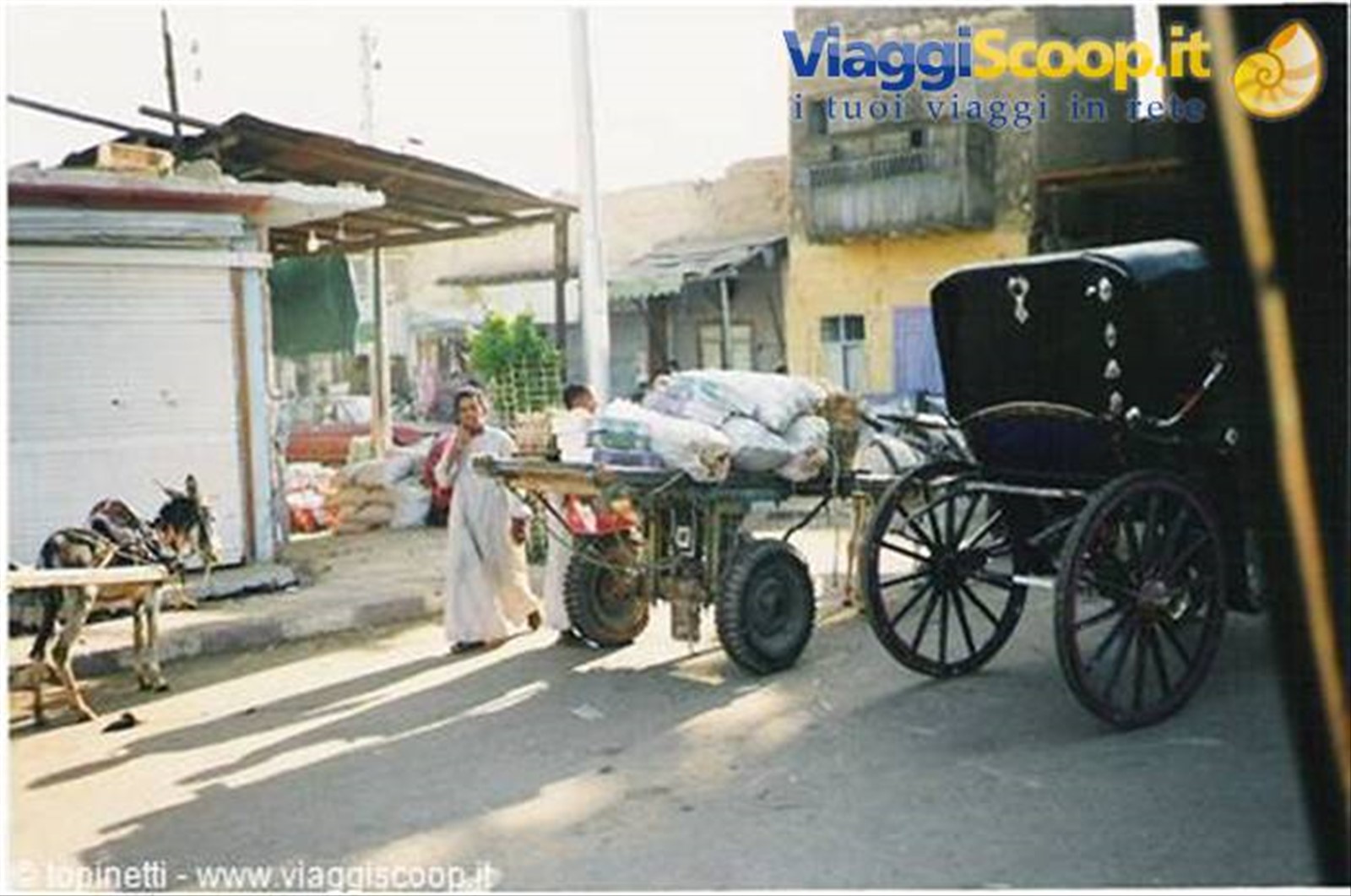 Foto di viaggio in EGITTO
