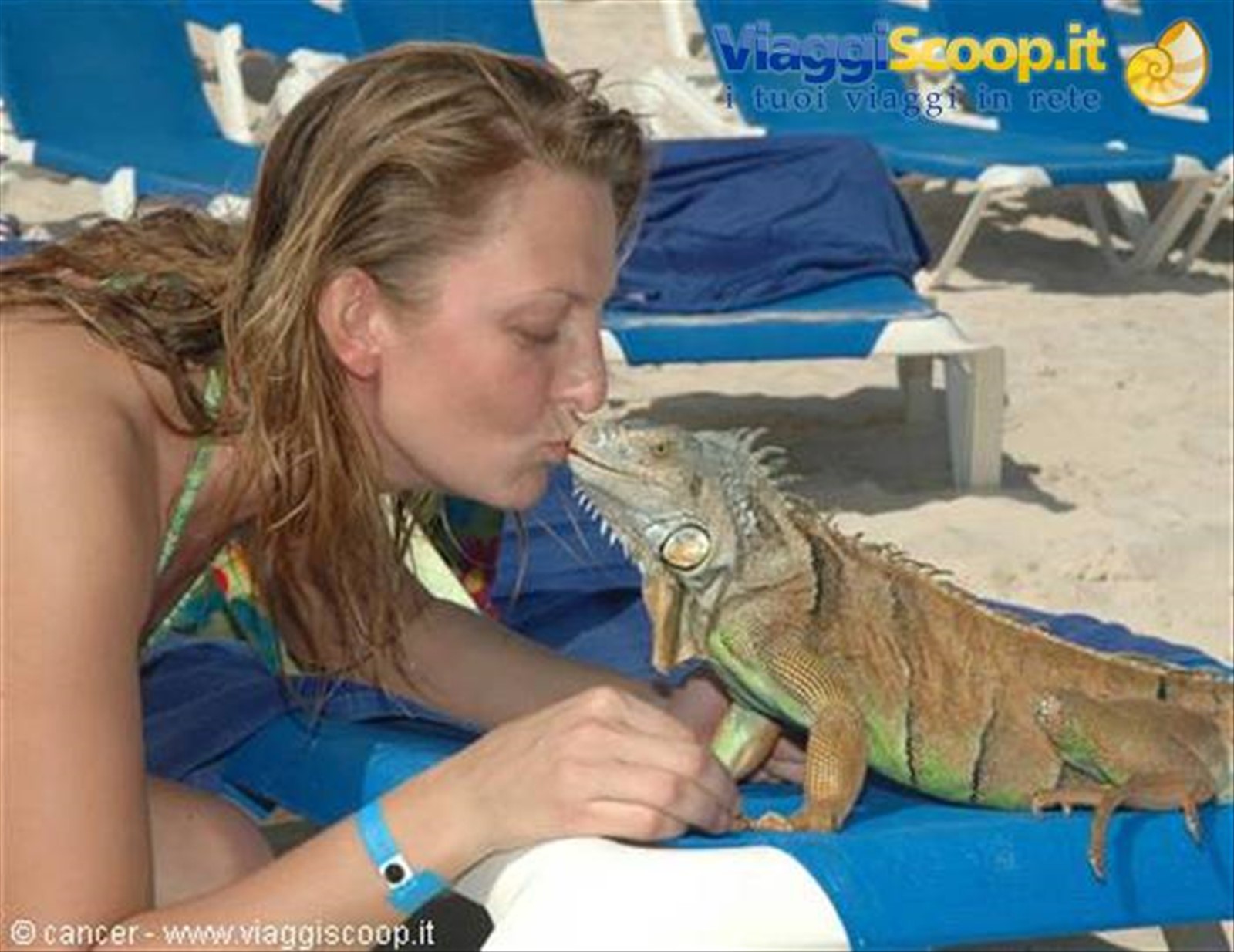 Un bacio all' iguana