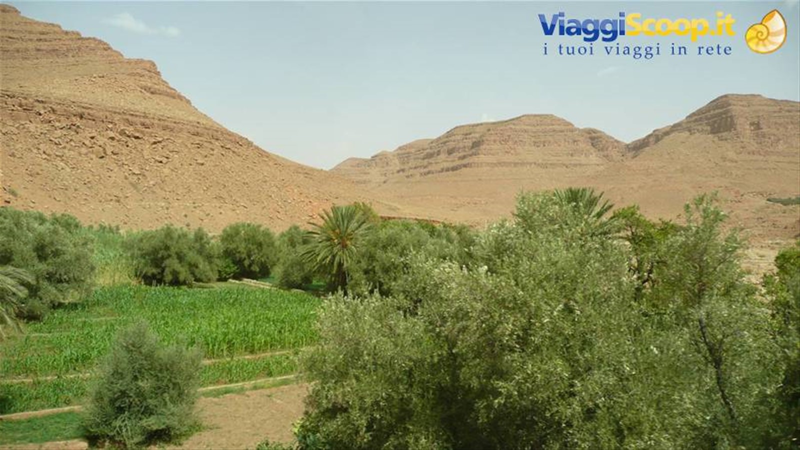 Foto di viaggio in MAROCCO