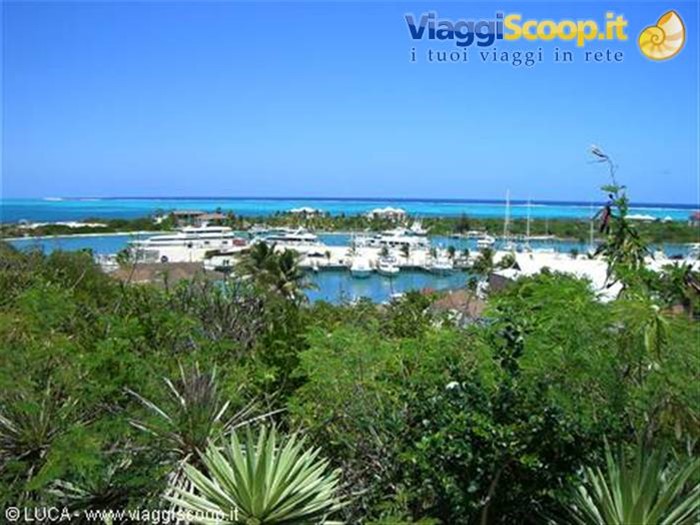 Porto di Providenciales. Visto dall'hotel...