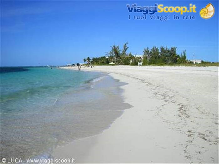 Spiaggia...o paradiso?!?