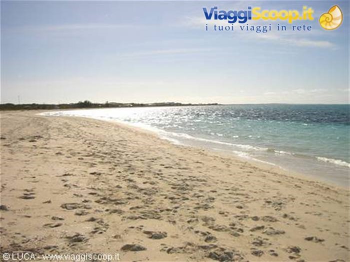...meravigliosa spiaggia verso il tramonto...