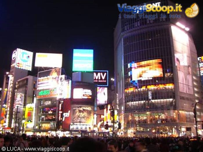 L'incredibile quartiere di Shibuya
