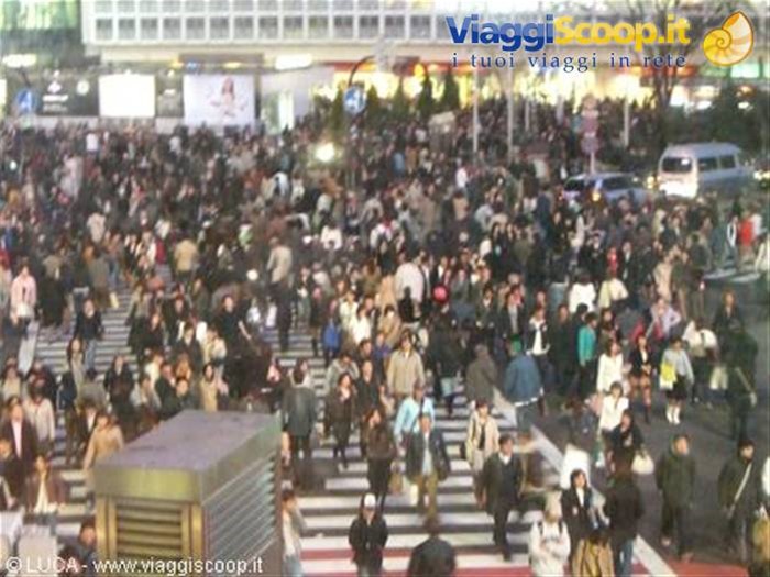 Shibuya...attraversamento pedonale!!!