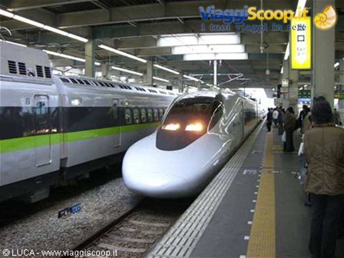 Shinkansen train!