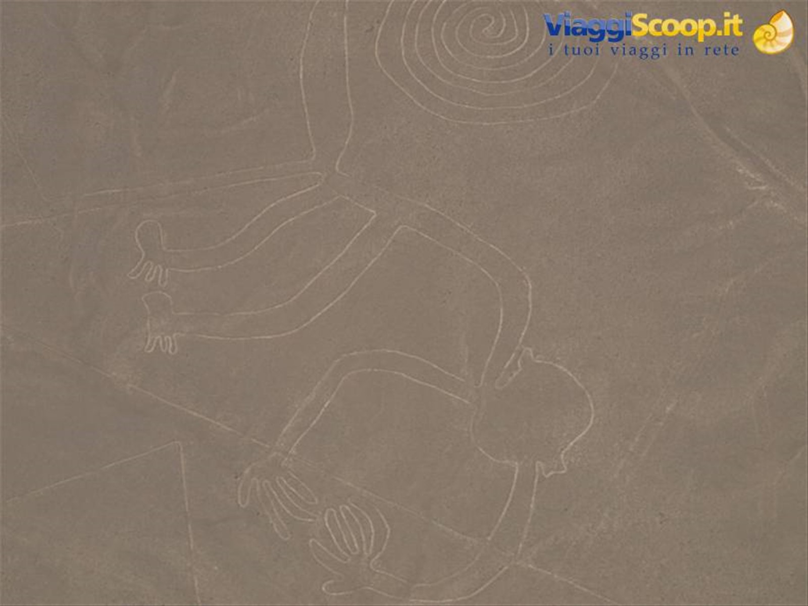 Linee di Nazca - La Scimmia