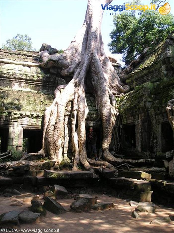 Angkor - L'incredibile Ta Prohm Temple