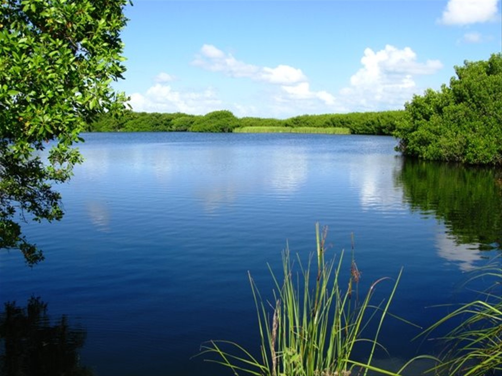Everglades