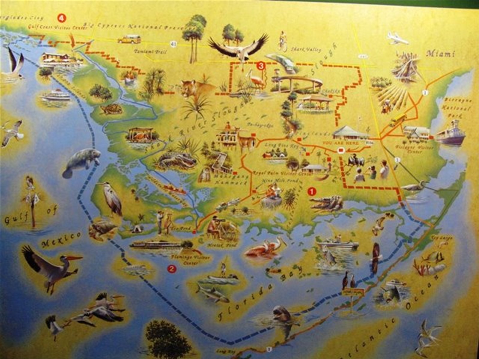 mappa Everglades