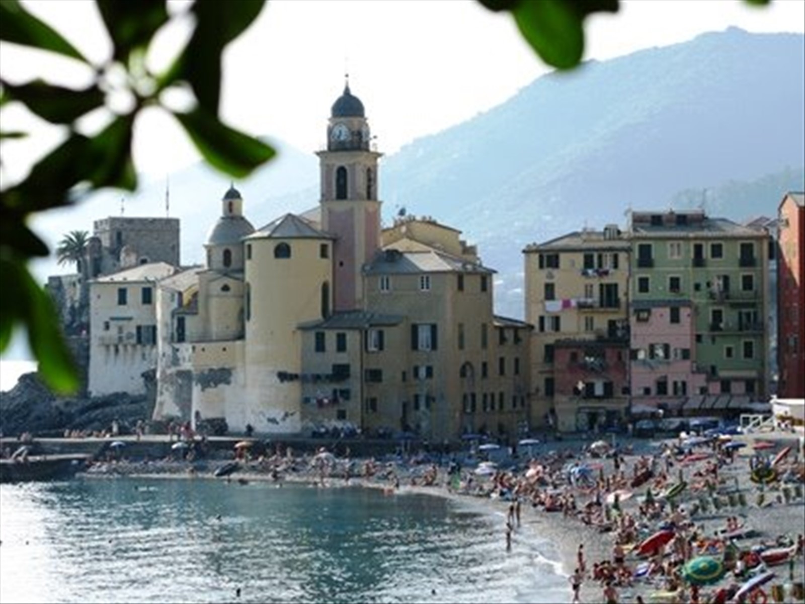 CAMOGLI