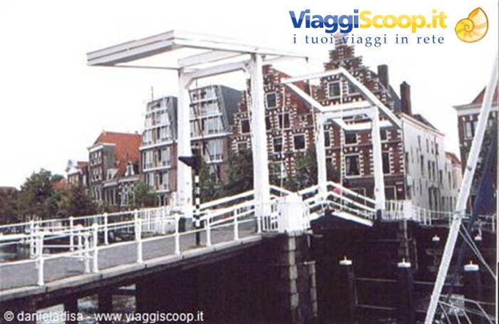 Olanda - Haarlem