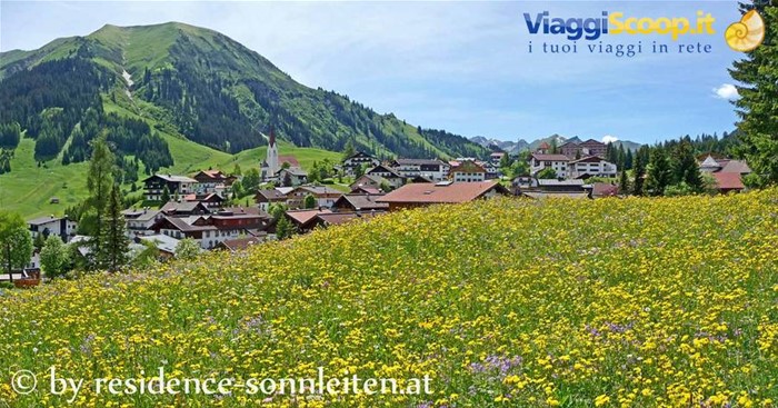 Berwang, prato alpino in fiore