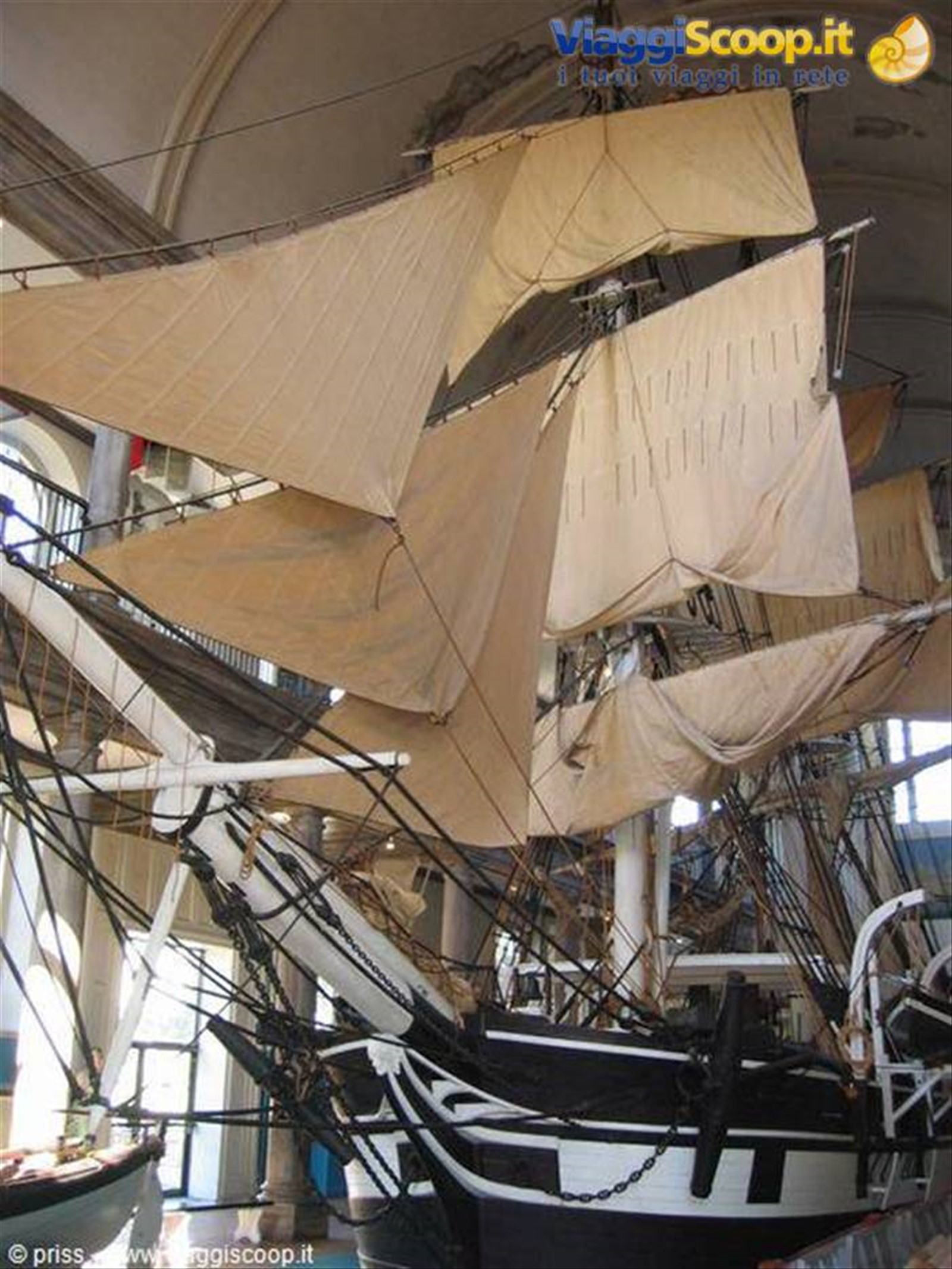 Museo della Balena