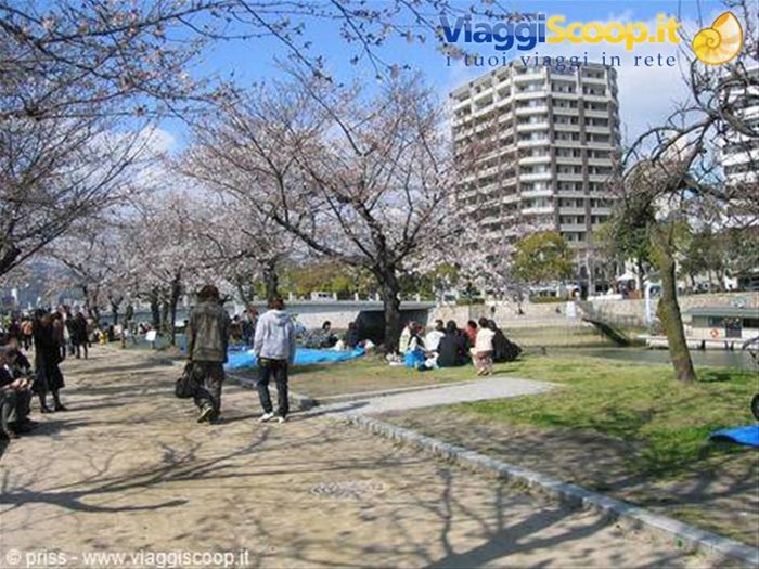 pic nic nel parco sul telone blu