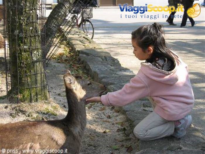 bambina con Bambi