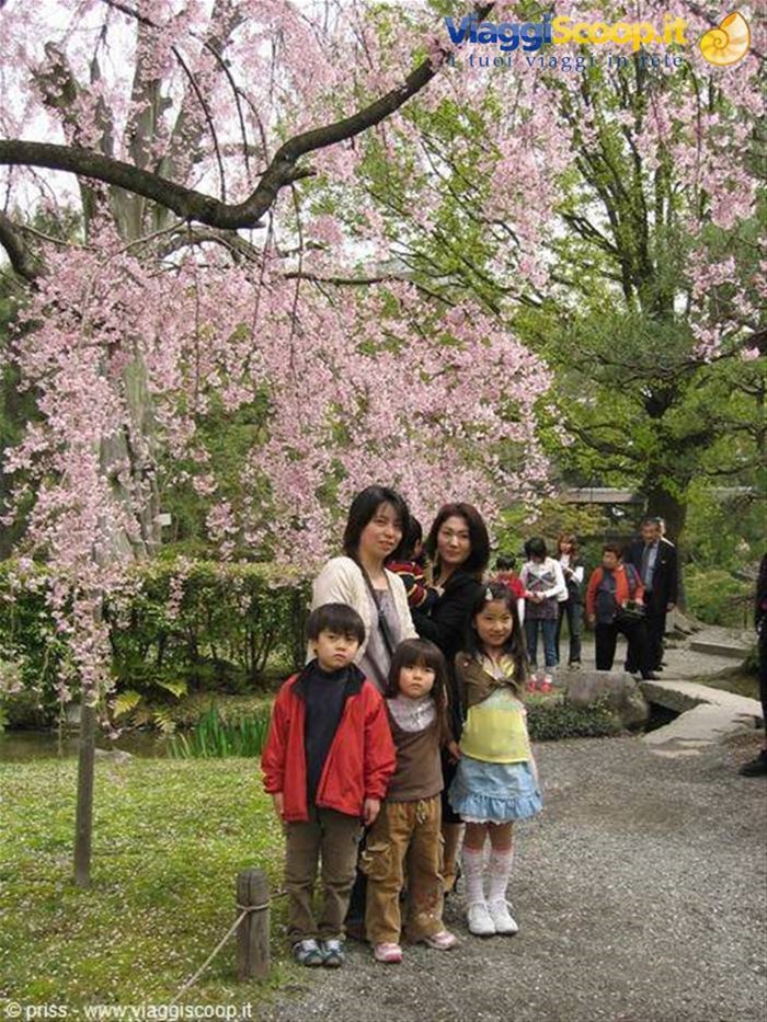 famiglia di giappi fotografanti