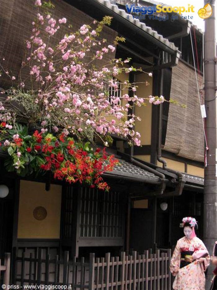 una vera maiko