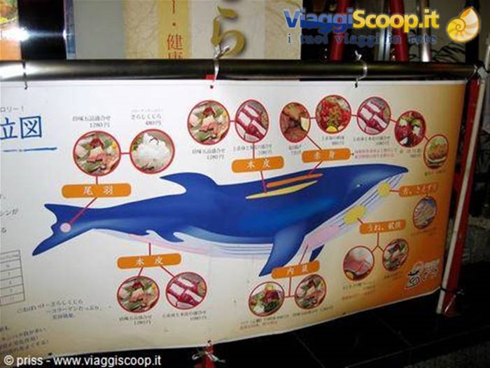 qui si mangia la balena... nooooooooooooo non lo fate!!!!
