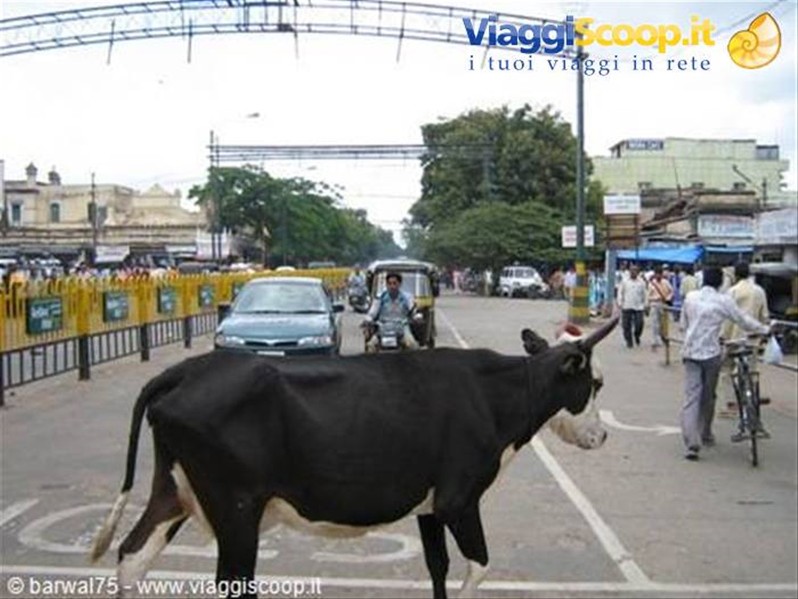 strada di Mysore