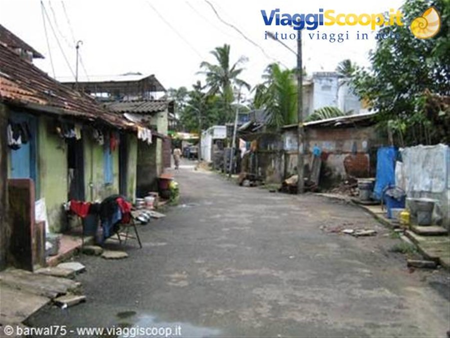 FORT COCHIN: una via