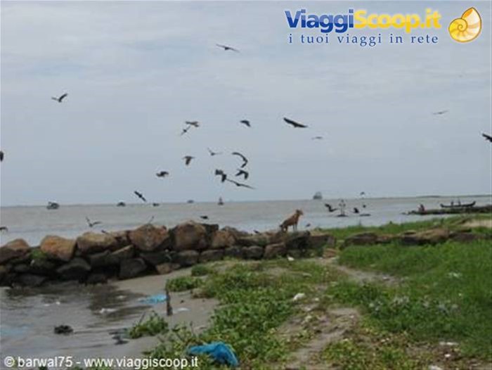VYPPEN ISLAND:la spiaggia