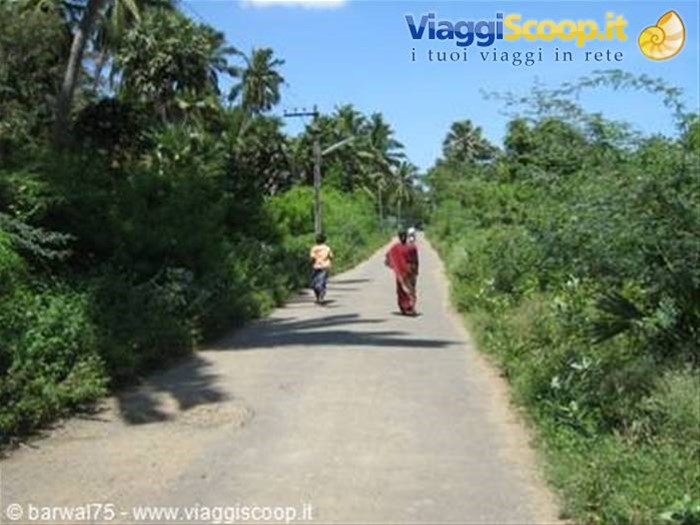 KANYAKUMARI:verso il monte sacro