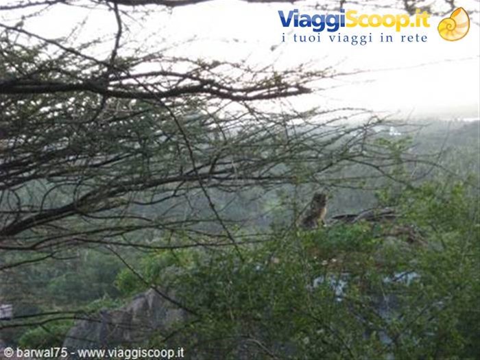 KANYAKUMARI:un eremeita sul monte sacro