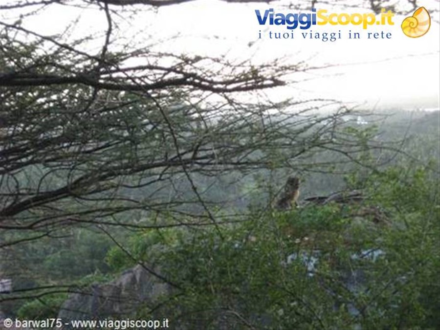 KANYAKUMARI:un eremeita sul monte sacro