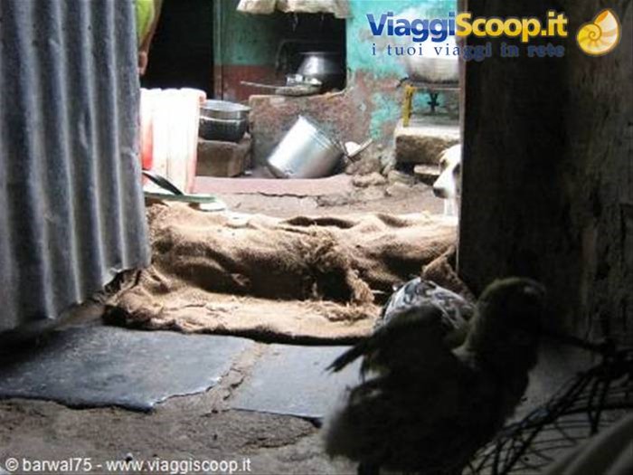 MADURAI:Vista dall'interno della casa di Ganesan junior 