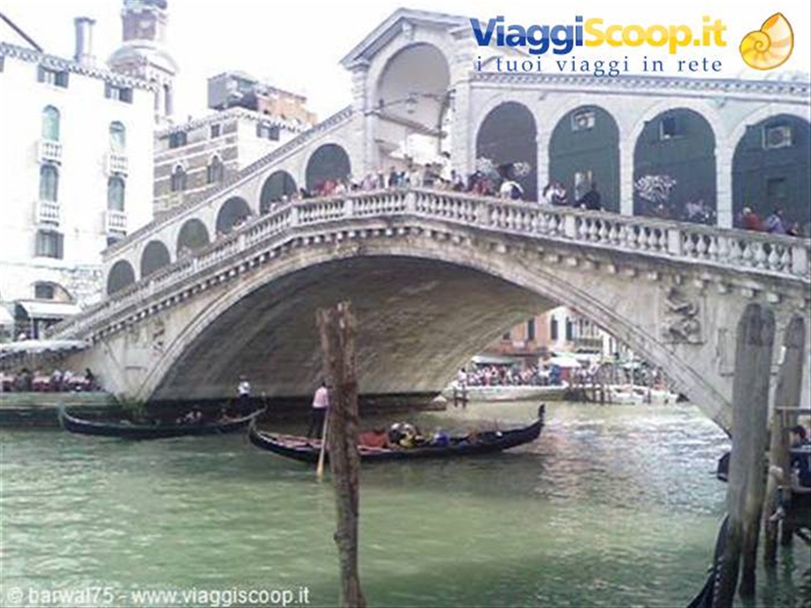 Venezia