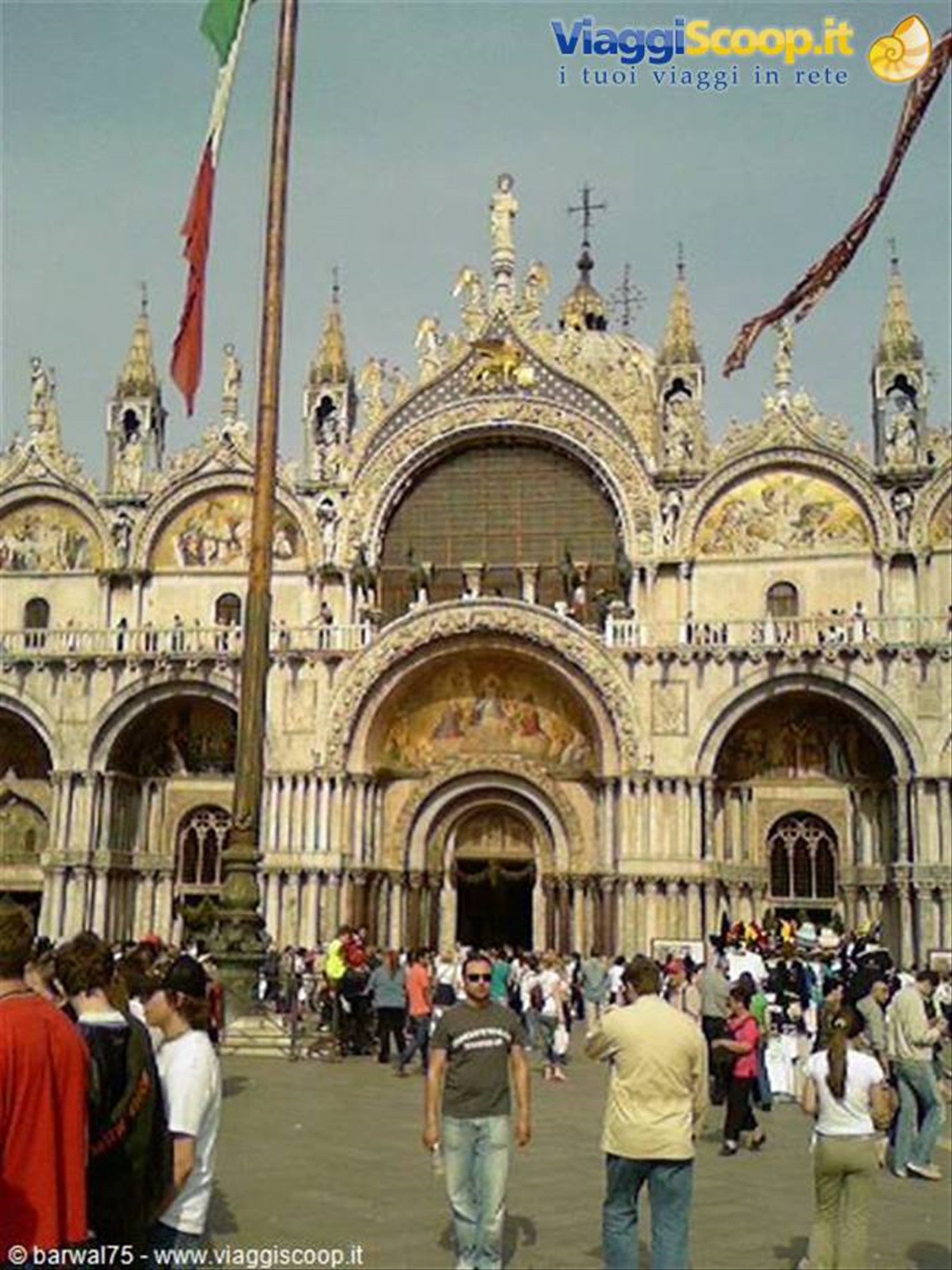 Un porco in piazza San Marco