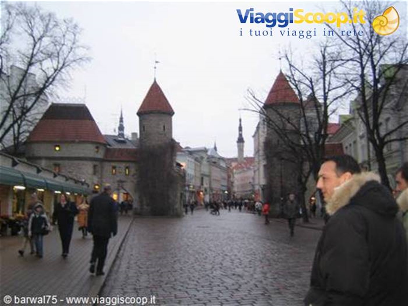 Foto di viaggio in ESTONIA