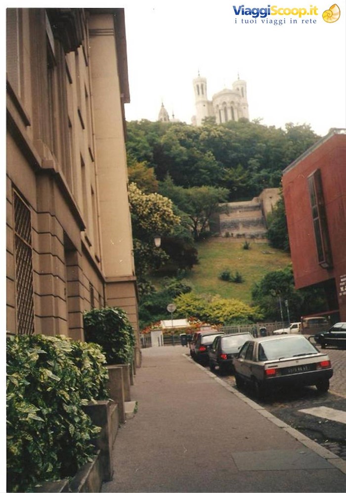 Lione