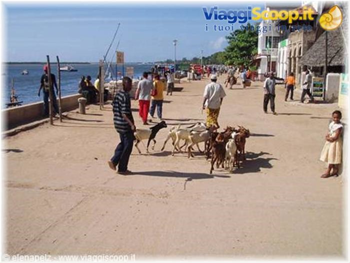 Lamu