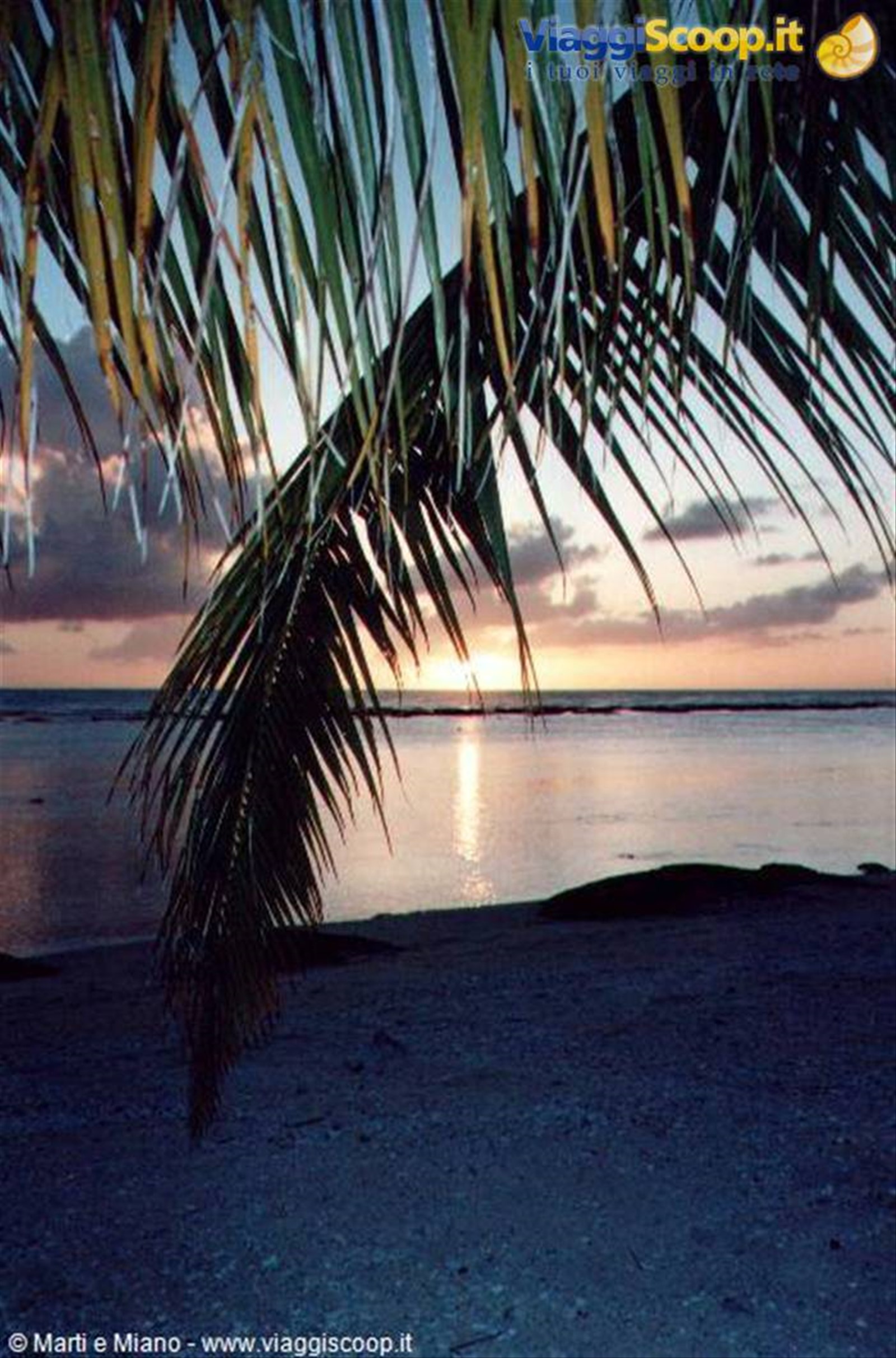 Rangiroa - Agosto 2000 - Tramonto con palma