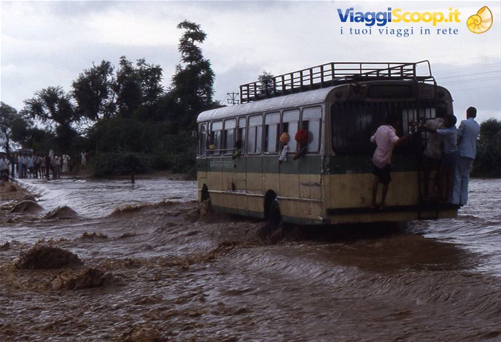 Foto di viaggio in INDIA