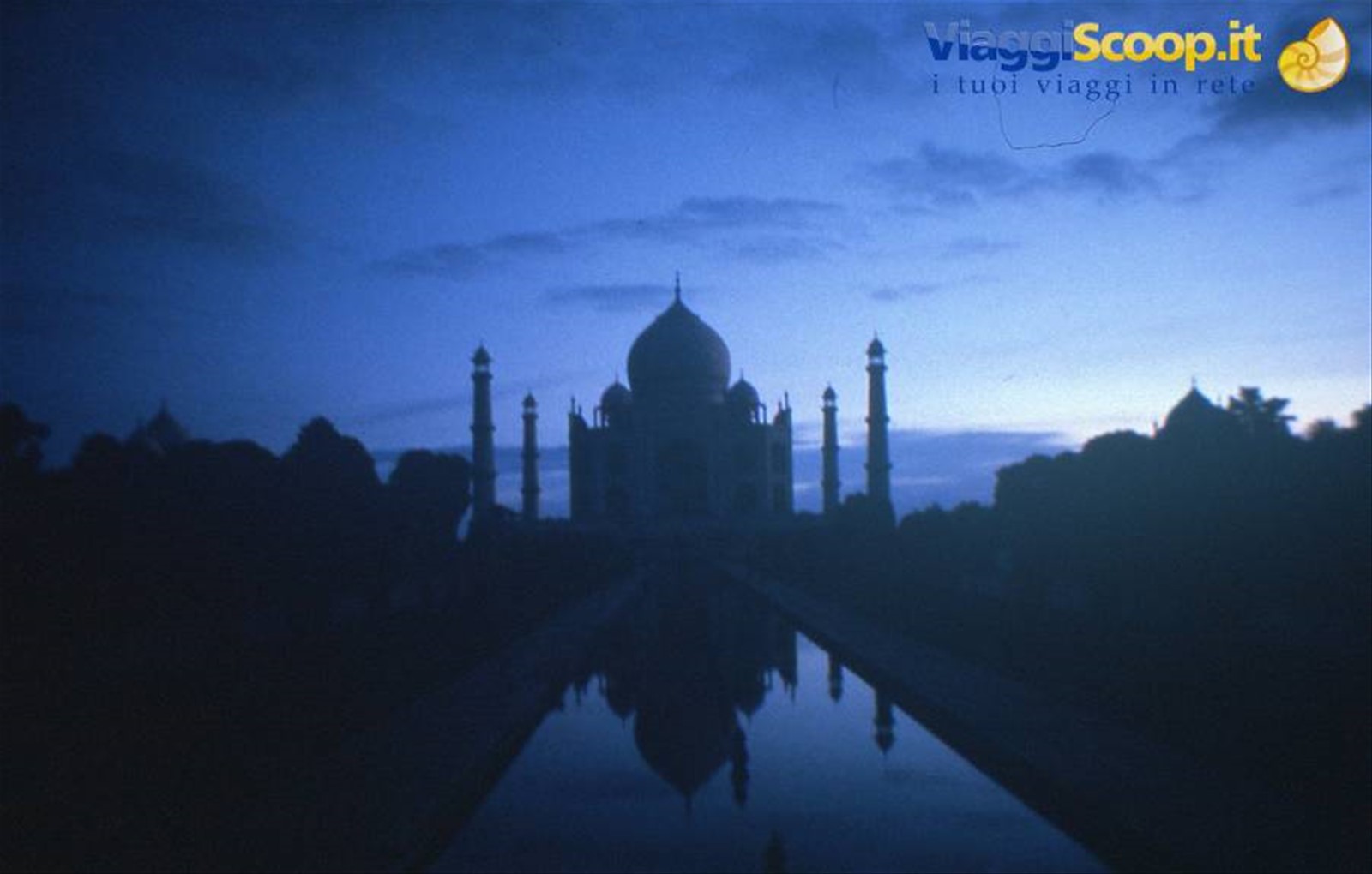 Foto di viaggio in INDIA