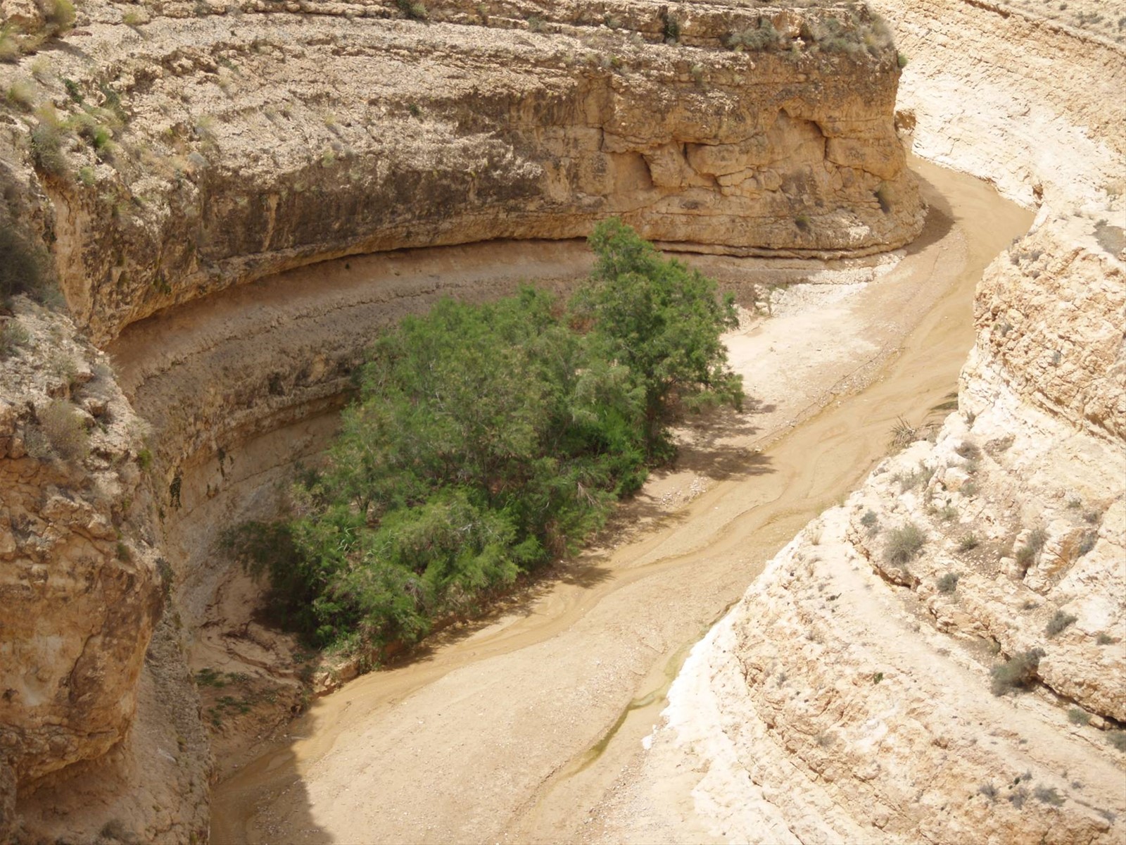 Foto di viaggio in TUNISIA