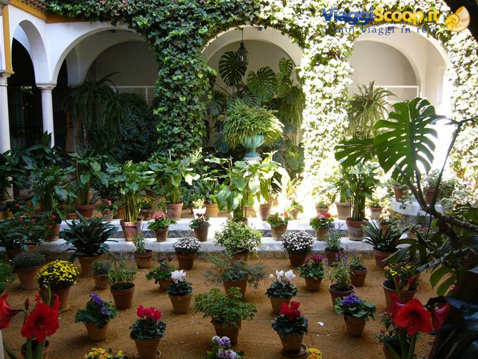 patio a Cordoba