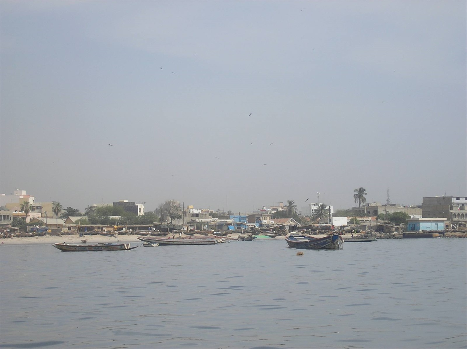 Foto di viaggio in SENEGAL