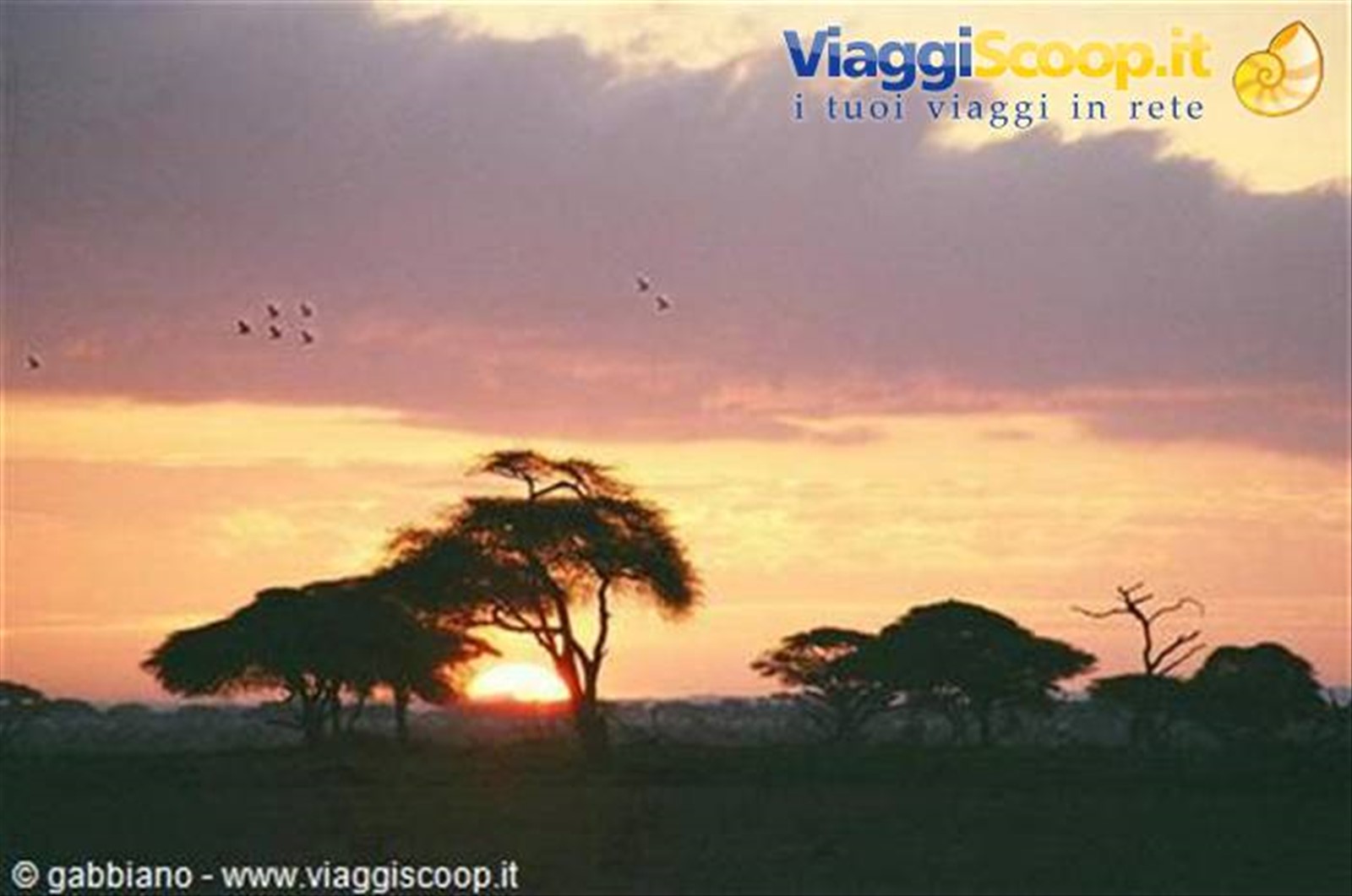 tramonto sulla savana tsavo