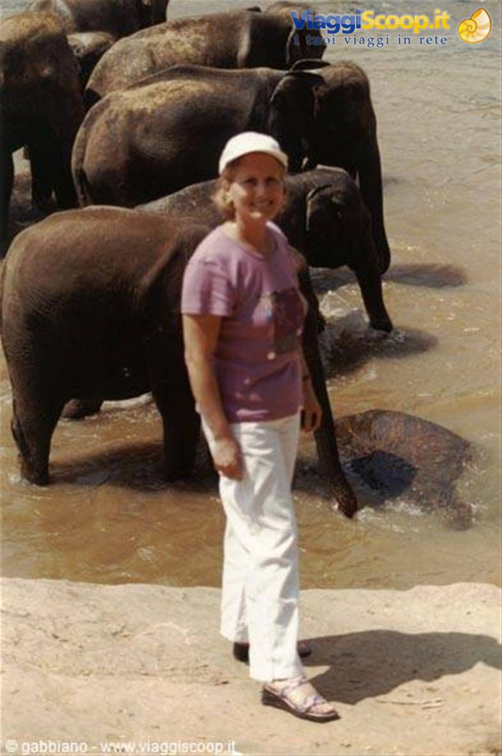 pinnawala