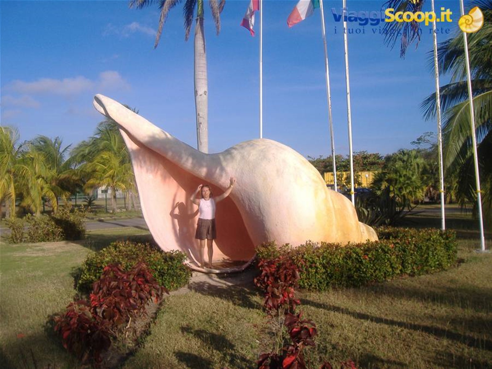 caracol