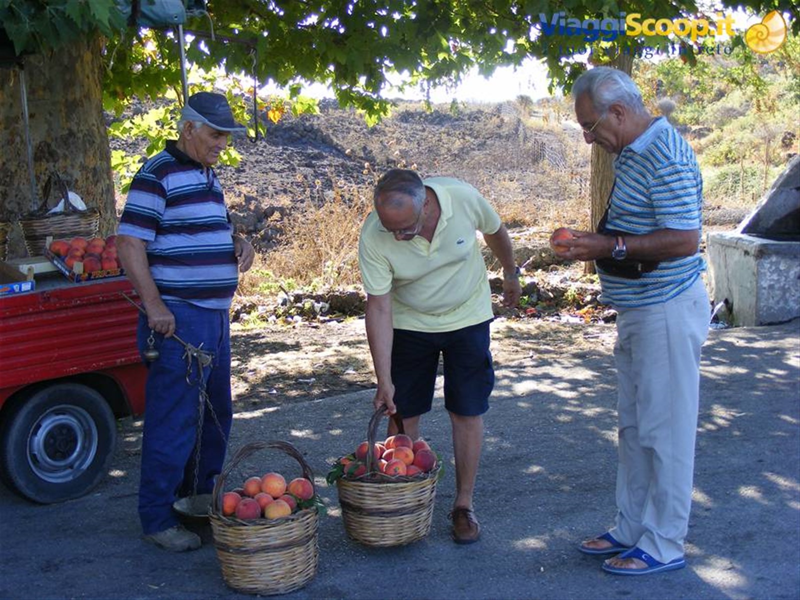 compravendita di pesche a moio alcantara