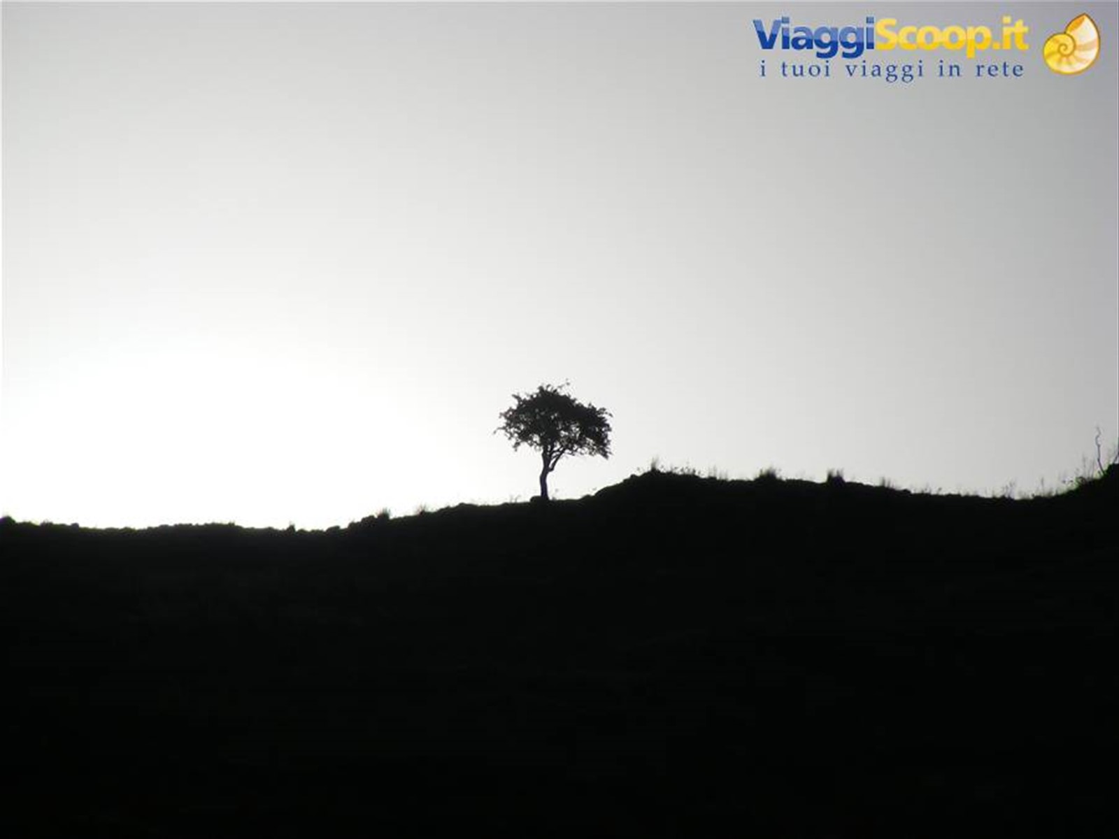 solutudine a quadisi